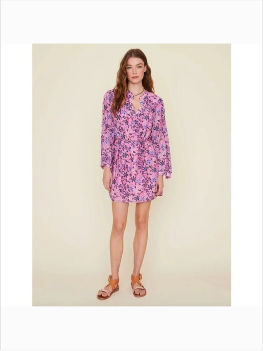 Xirena Bellamy Sweet Vines Pink Blue Tunic Cotton Silk Voile Dress Nwt M